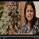 tanu-and-stylianos-wedding-film
