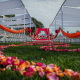 MyShaadiWale 14